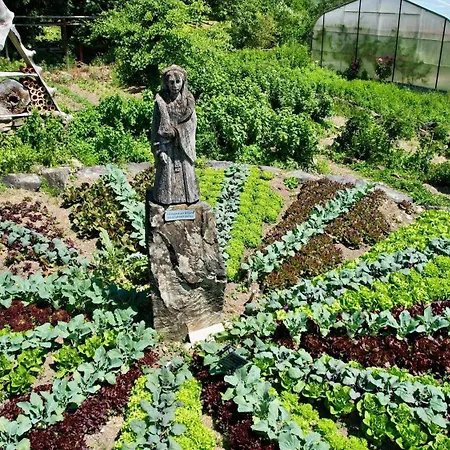 Der Baeren In Zell *