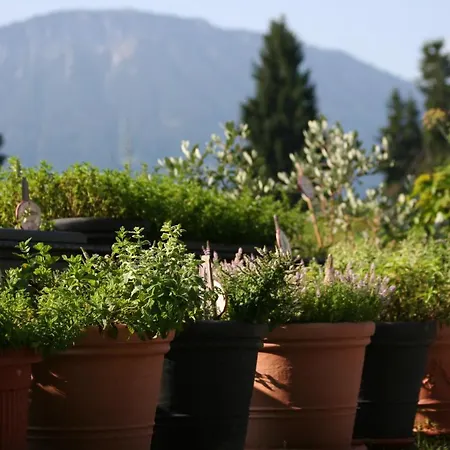 Der Baeren In Zell Hotel