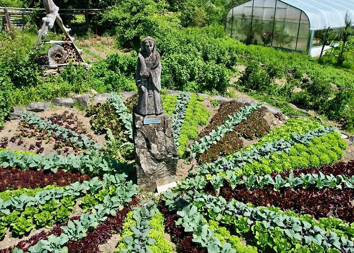 Der Baeren In Zell *