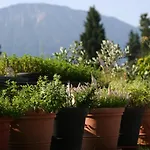 Der Baeren In Zell ホテル