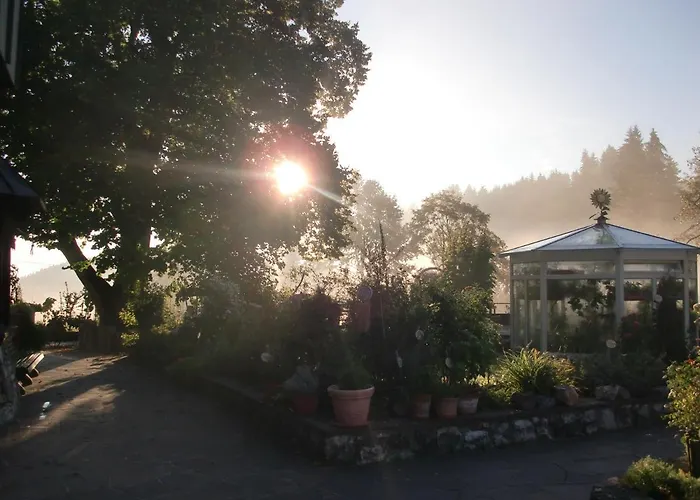 ホテル Der Baeren In Zell