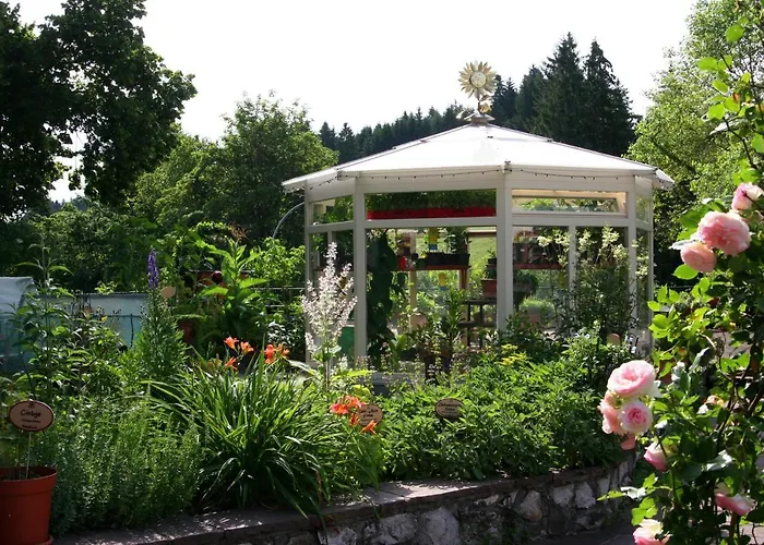 ホテル Der Baeren In Zell *